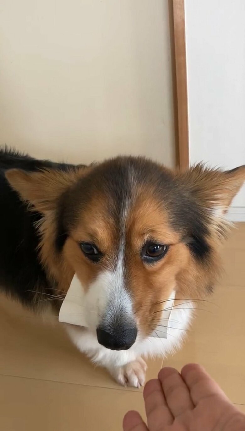 口から芯を放そうとはしない