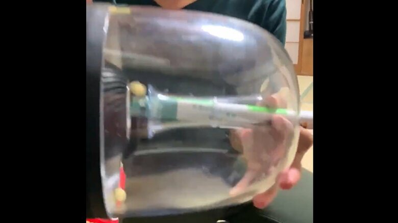 取りだすまでの流れ、その2。紙にボーロをうまく入れる