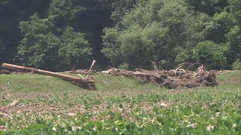 農地に現在も残る大きな流木