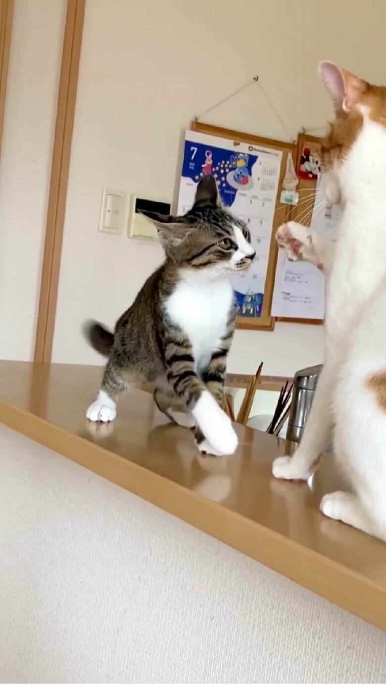 それでも近づく大三くん