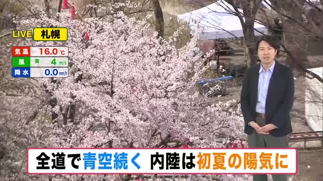 【快晴】全道青空　絶好のお花見日和！”ゴールデンウィーク後半”土日は雨の所も…最新”桜情報”【北海道の天気 5月1日(木)】