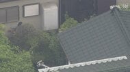 【速報】住宅敷地内で発見されたクマ1頭を捕獲　動物園職員が麻酔銃を使用　複数いる可能性も　栃木・宇都宮市