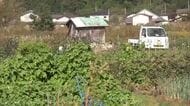 雄物川近くの畑にクマ3頭出没　作業中の80代男性が襲われけが　秋田・大仙市