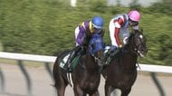 【レパードS・GⅢ】チェリヴェント 重賞初挑戦V！　吉村誠之助騎手　去年5月以来 JRA重賞通算3勝目