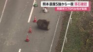 2016年熊本地震の余震活動か…震度5強から一夜明け、熊本・産山村で落石確認　専門家「同程度の地震が続く可能性」
