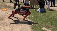 “荒川氾濫”想定の大規模訓練　今年導入の四足歩行ロボットも投入　台風シーズン前に備え