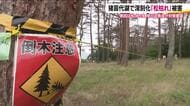 松くい虫の被害が深刻化　猪苗代湖周辺で「松枯れ」被害　倒木の危険も　処分費用支援や防除対策を　福島