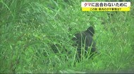 秋田県内のクマ事情 クマに出合わないためのポイントは? 秋田