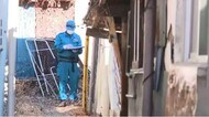 同居の66歳・58歳の兄弟が刃物で互いに切り付け合う 殺人未遂容疑で2人逮捕 「年に何度かけんか」