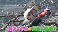 華やかなステージから自然に囲まれた大地へ マイクをクワに持ち替えて 元アイドルが農家に転身 夢は地産地消ワイン 【福岡発】