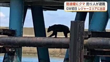 防波堤にクマ出没で釣り客避難　GW初日のレジャーエリアが騒然　秋田