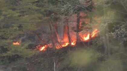 焼損範囲が“6倍”に…山林火災の発生から3日目　火が住宅地にも迫る　避難指示対象を2588人に拡大　岩手・大槌町