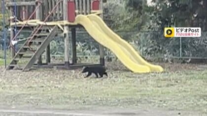 すべり台のそばに“黒い姿”…岩手の保育園に1頭の子グマが現れ居座る　その後林の方へ走り去る　秋田でも“クマ被害”相次ぐ