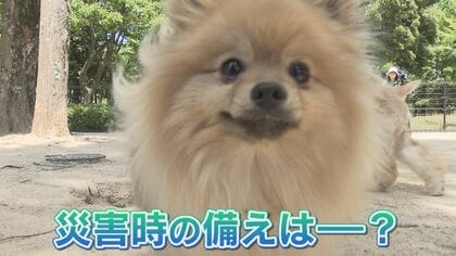 「人の命救うためにペット守る仕組み重要」災害発生時の“ペット同伴避難　一緒に過ごせる避難所は…【福岡発】