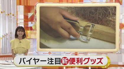 電動工具が掃除グッズに早変わり？水回りの便利商品から“かたい”転落防止用ストッパーまで…バイヤー注目の最新グッズ