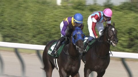 【レパードS・GⅢ】チェリヴェント 重賞初挑戦V！　吉村誠之助騎手　去年5月以来 JRA重賞通算3勝目