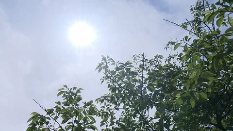 「7月みたい」東北や関東中心に気温上昇　福島・伊達市で今年初の「猛暑日」　季節外れの「真夏日」は200地点超
