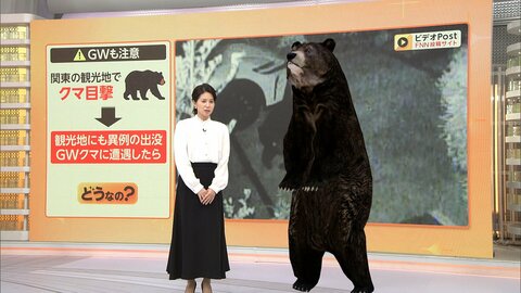 日光東照宮でもクマ目撃情報　遭遇したら冷静に距離を取って静かに避難　クマスプレーは事前練習を