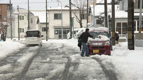 【4月の大雪】『こんなに降るとは思わなかった…』釧路で4月記録的大雪21センチも日中にはほぼ解ける＿札幌では1週間連続10℃超えで冬囲い撤去、新芽が顔出す…北海道で対照的な春の訪れ
