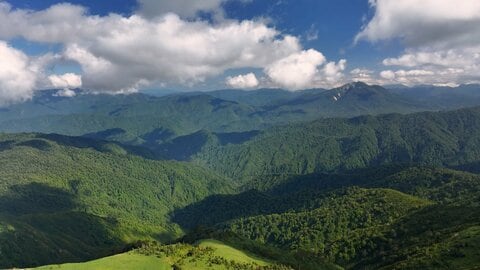 BS民放5社の4K番組　今秋から「WOWOWオンデマンド」無料配信へ　具体的な視聴方法やサービス開始時期は後日発表