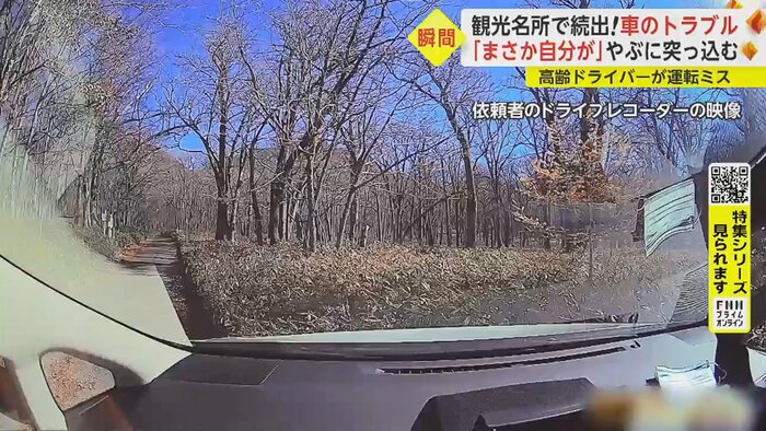 縁石を乗り越え、笹薮の中へ