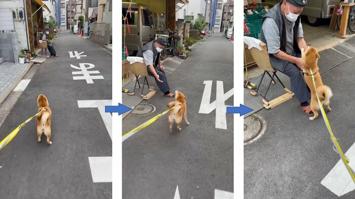 おっちゃんのもとへ駆けるマメちゃん