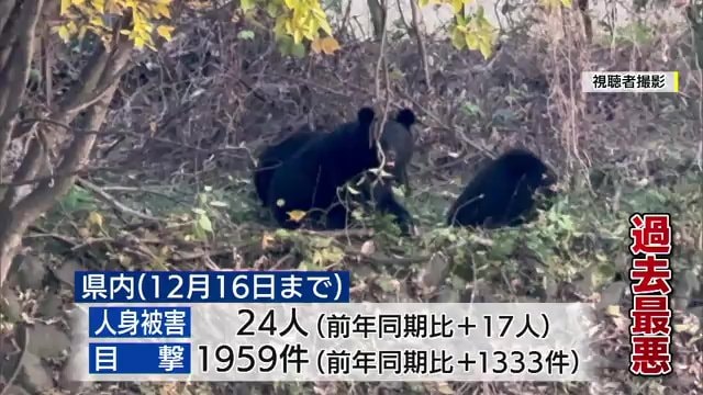 福島県で目撃されたクマ(視聴者撮影)