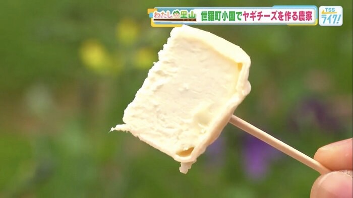 濃厚な味わいのヤギチーズ「セラ・シェーブル」
