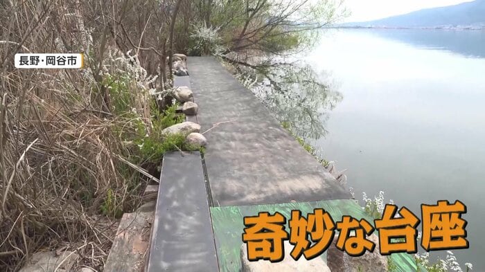 やぶの中を進んだ先に設置された台座