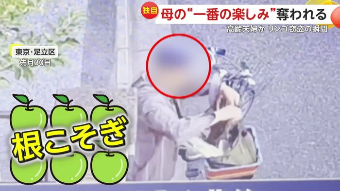根こそぎもぎ取り瞬く間に走り去っていった2人組
