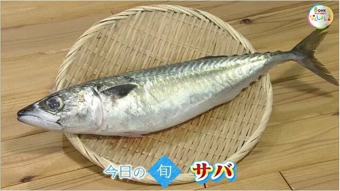 今回の「旬」サバ
