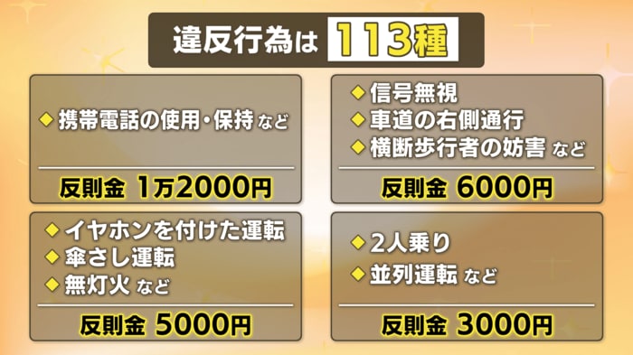 違反対象の行為は合わせて113種類