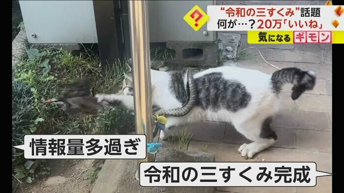 (@kothu03)
