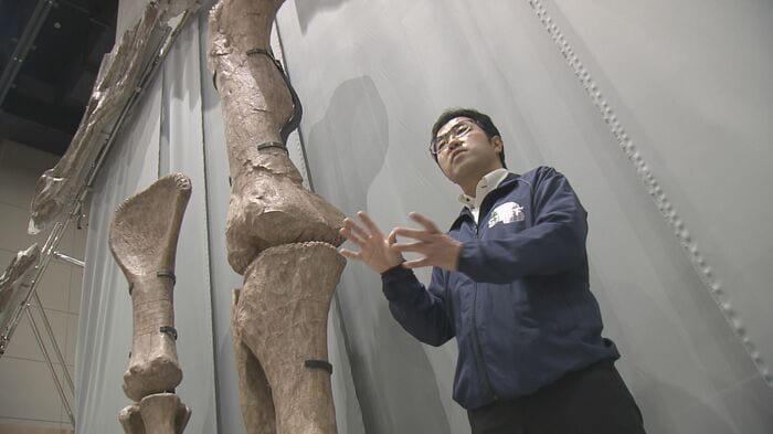 県立恐竜博物館の関谷透研究員は
