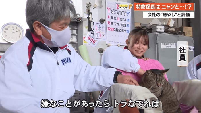 社員たちに撫でられリラックスする「トラ」