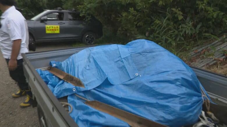 【ヒグマ速報】箱わなで1頭捕獲―連日出没している個体か…DNA鑑定で確認＜北海道江差町＞｜FNNプライムオンライン