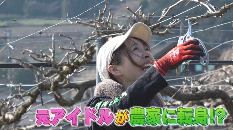 華やかなステージから自然に囲まれた大地へ マイクをクワに持ち替えて 元アイドルが農家に転身 夢は地産地消ワイン 【画像】|FNNプライムオンライン