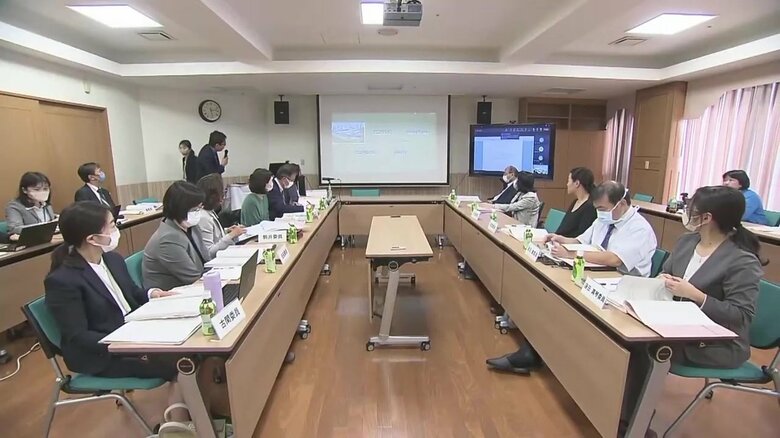 「母親が特定されない情報は充実すべき」匿名で預けられた子どもの「出自を知る権利」検討部会｜FNNプライムオンライン