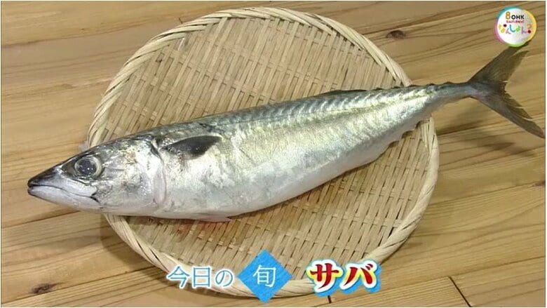 【瀬戸内旬紀行】脂がのった「サバ」をみそ焼きで堪能！ご飯もすすむ！家庭でおすすめの一品【岡山・香川】｜FNNプライムオンライン