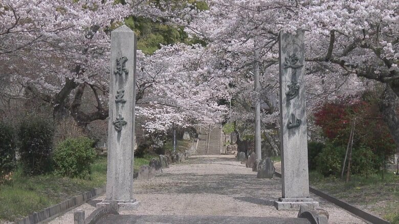 地域を見守り厳かに美しく いわき市・薬王寺 《ふくしま桜紀行2025》｜FNNプライムオンライン