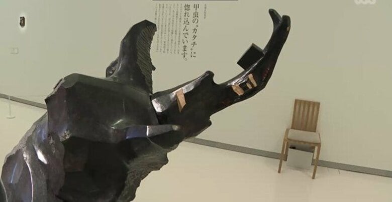 昆虫アートの世界　「親しみやすく奥深い」　広島・大竹市「下瀬美術館」で企画展　｜FNNプライムオンライン