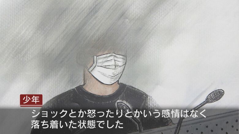 「ショックや怒りはなかった」と語った少年