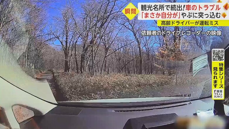 縁石を乗り越え、笹薮の中へ