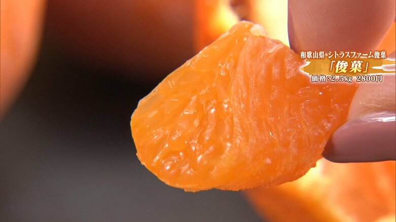 和歌山県 シトラスファーム俊菓「俊菓」2.5キロ 2800円