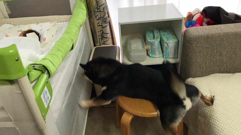 見守り写真その4。バランスを崩してあられもない姿に