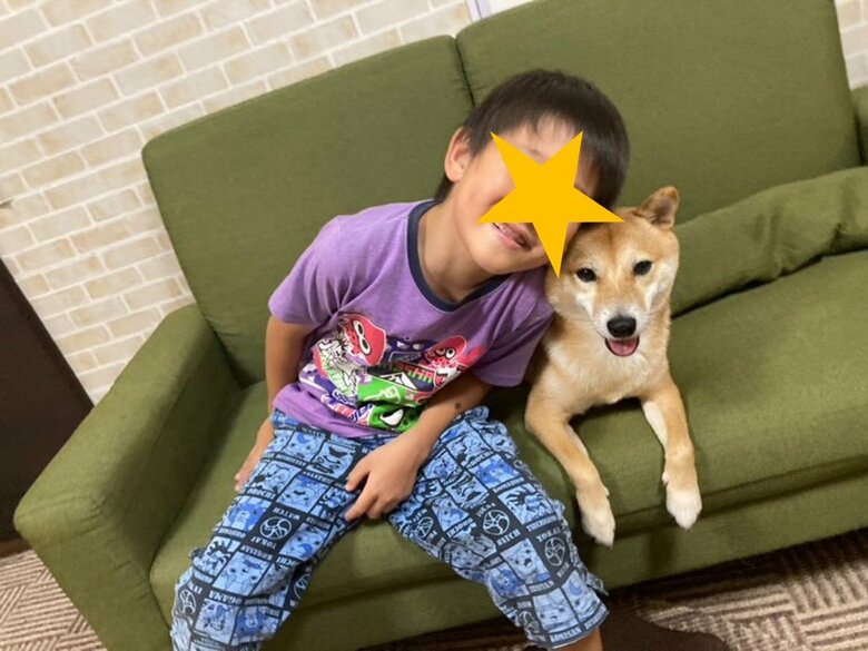 提供：豆柴大福　黒柴あんこさん