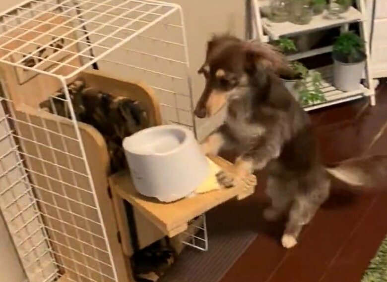 向かった先はベイリーチェア