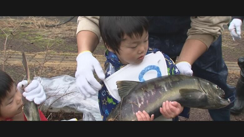 過去の『さけ豊漁まつり』
