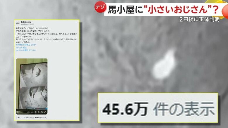 SNSに投稿すると、再生数が45万回を超えた映像