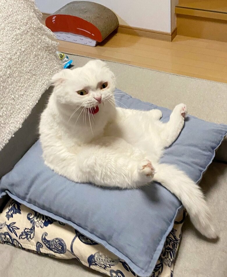 ヒャッヒャッヒャッ！